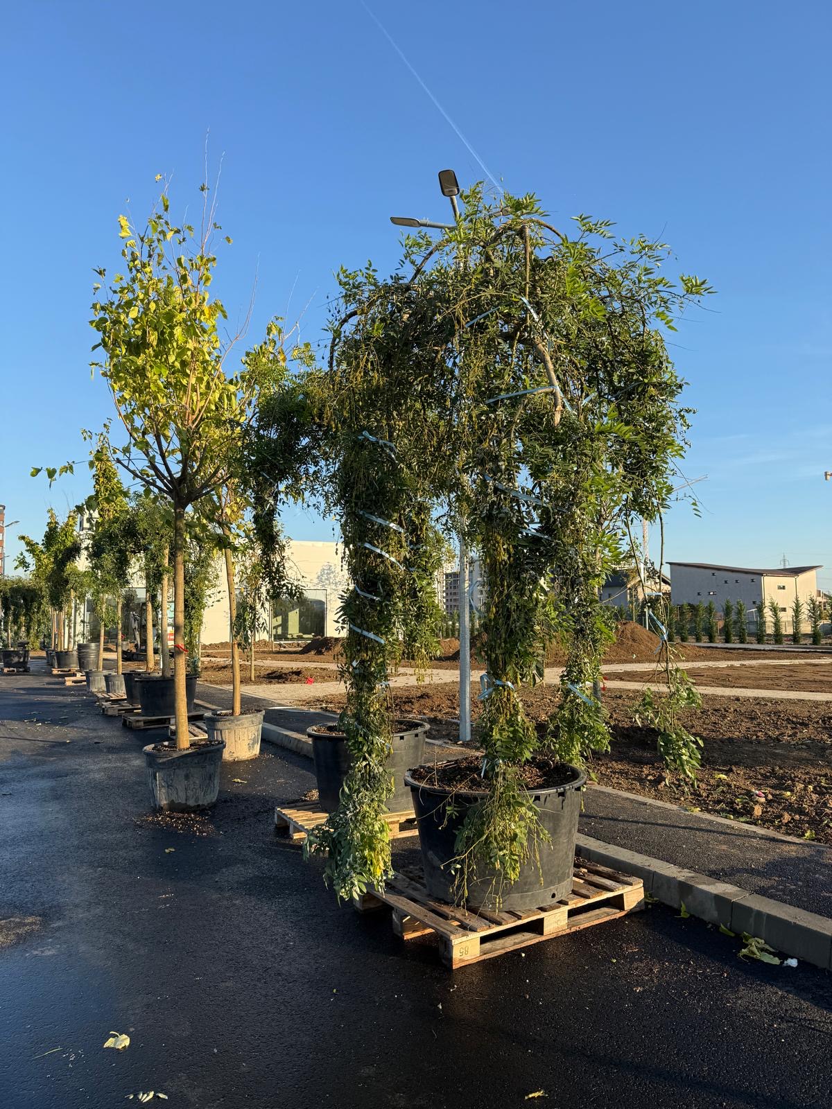 f4128d77-a447-4fa9-b8b4-edd02b74d1de